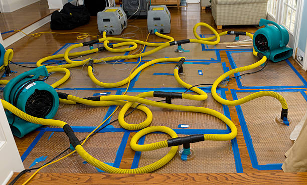Professional Sewage Cleanup technician working in Mineral Point, WI